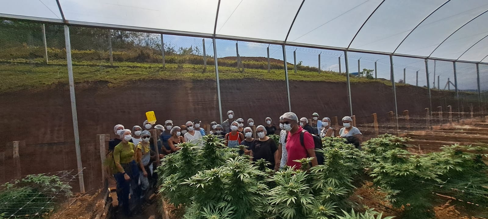visita a fazenda _medicos_apepi escola_2023