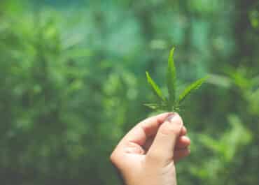 MIX CBD+CBG: Chegou o novo óleo da Família APEPI