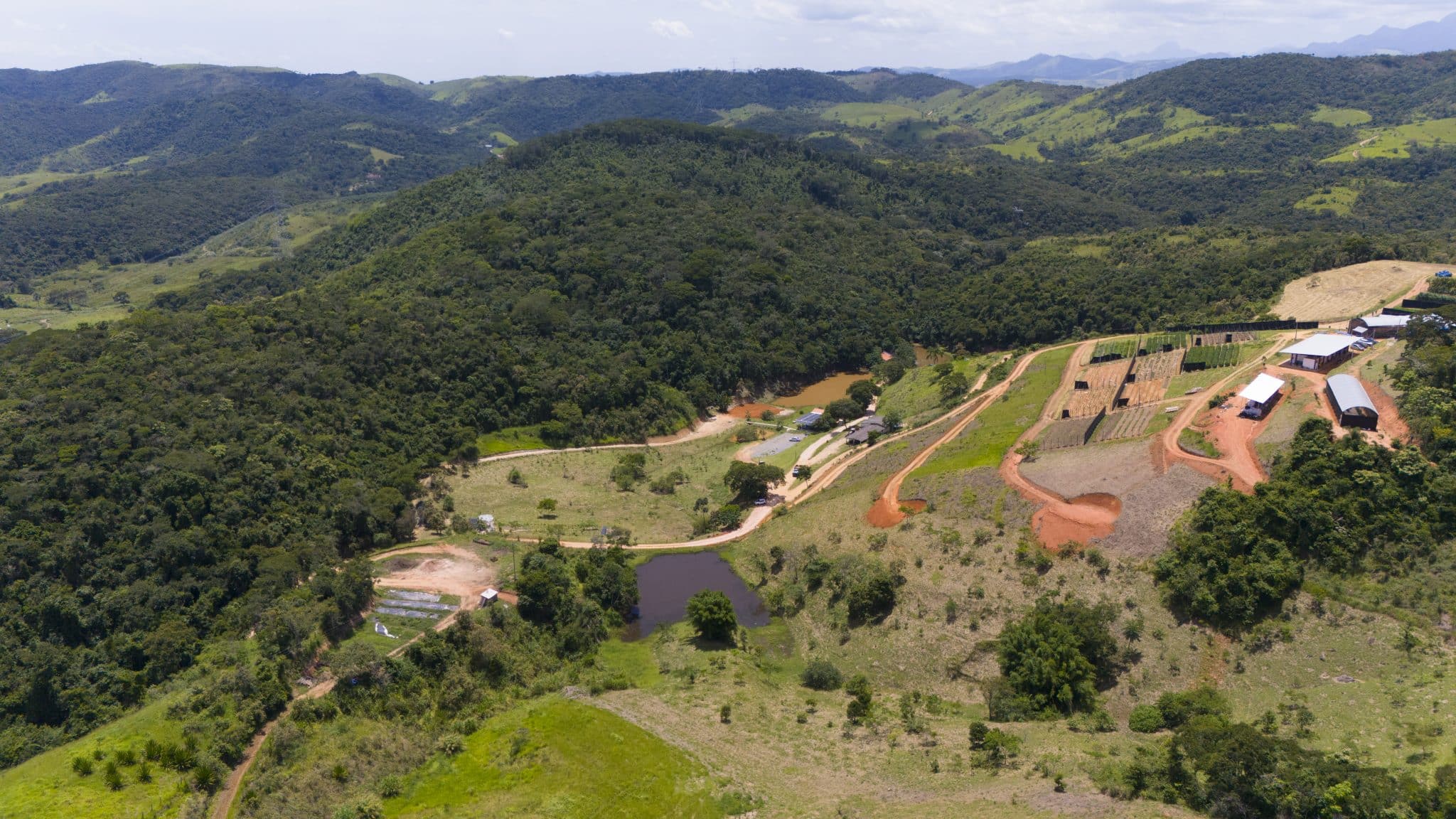Fazenda APEPI: Reflorestamento e preservação ambiental ao lado da saúde
