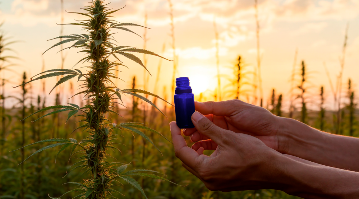 Começar tratamento Cannabis APEPI