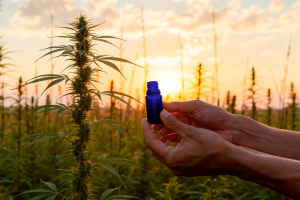 Começar tratamento Cannabis APEPI