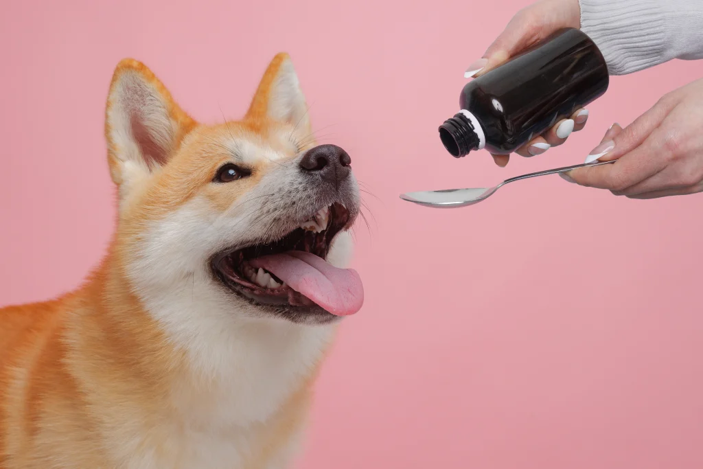 canabidiol cães APEPI Pet