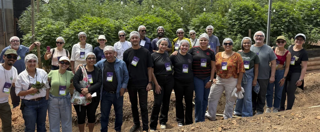 Disseminação do conhecimento APEPI