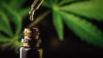 óleo CBD ansiedade APEPI