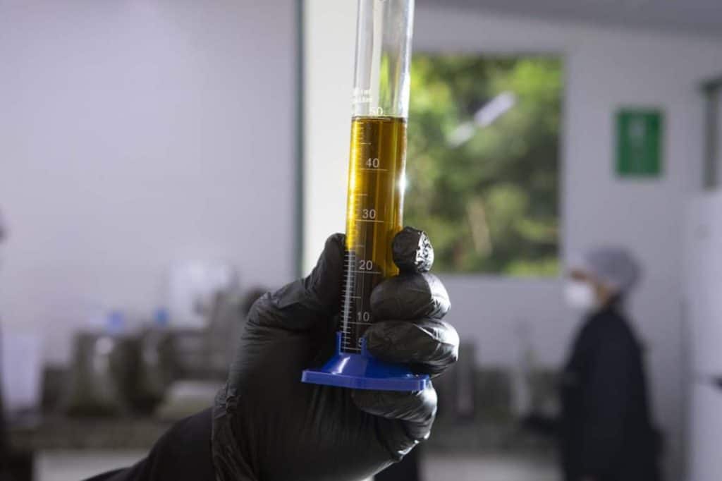 Doctor CBD e CBD 3000 da APEPI: óleo medido em laboratório