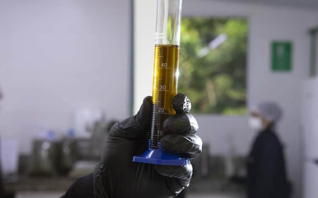 Doctor CBD e CBD 3000 da APEPI: óleo medido em laboratório