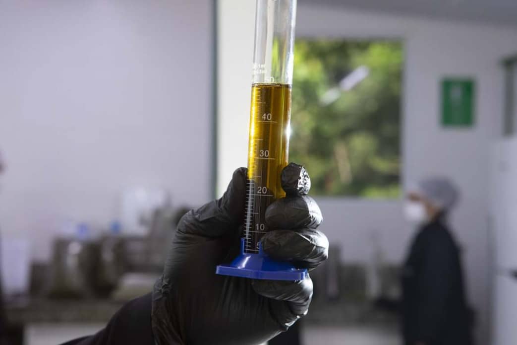 Doctor CBD e CBD 3000 da APEPI: óleo medido em laboratório
