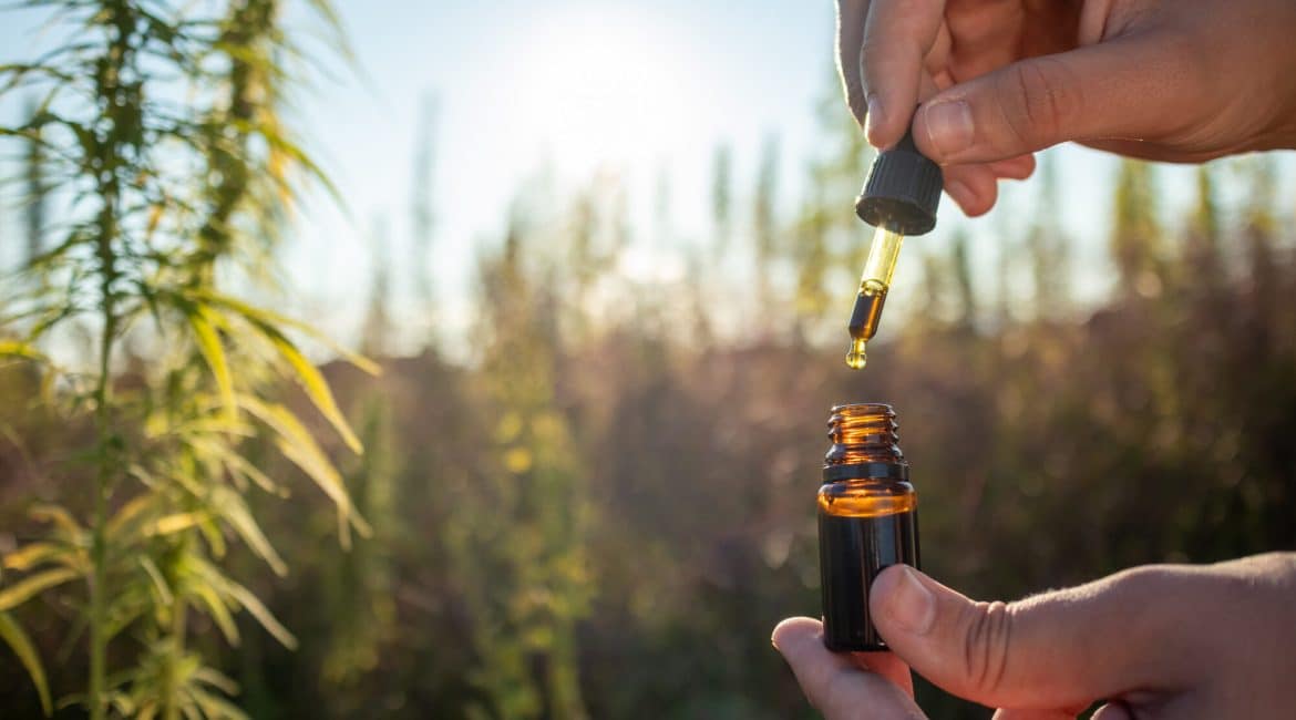 Cannabis câncer: mão aplicando óleo de CBD em conta-gotas entre plantas de hemp